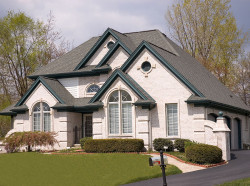 Démoussage #PREPOSITION#  #LOCALISATION#